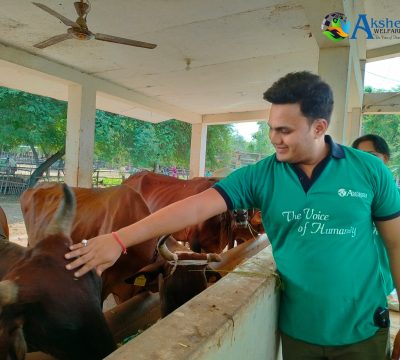 Gau Seva Abhiyaan